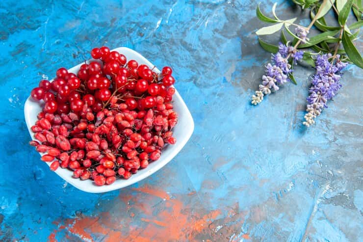 تصویر 4 از زرشک پفکی لوکس با طعمی بی نظیر و رویایی